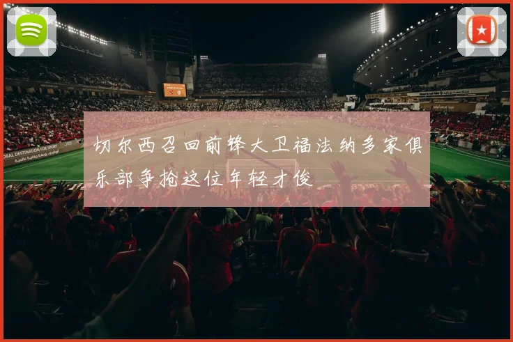 切尔西召回前锋大卫福法纳多家俱乐部争抢这位年轻才俊