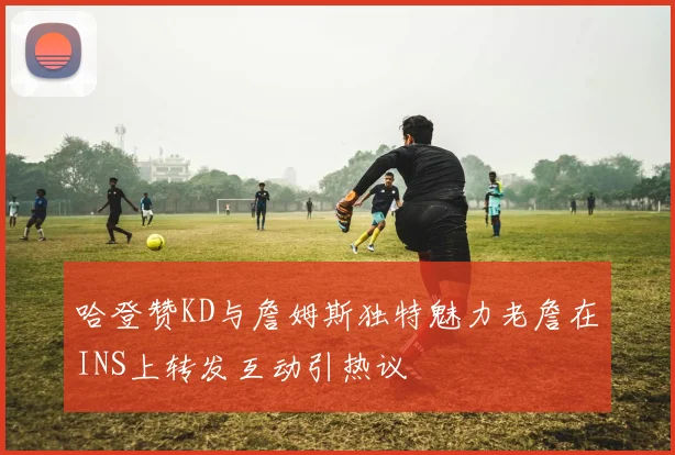 哈登赞KD与詹姆斯独特魅力老詹在INS上转发互动引热议
