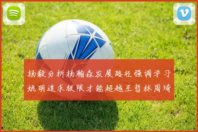 杨毅分析杨瀚森发展路径强调学习姚明追求极限才能超越王哲林周琦状态