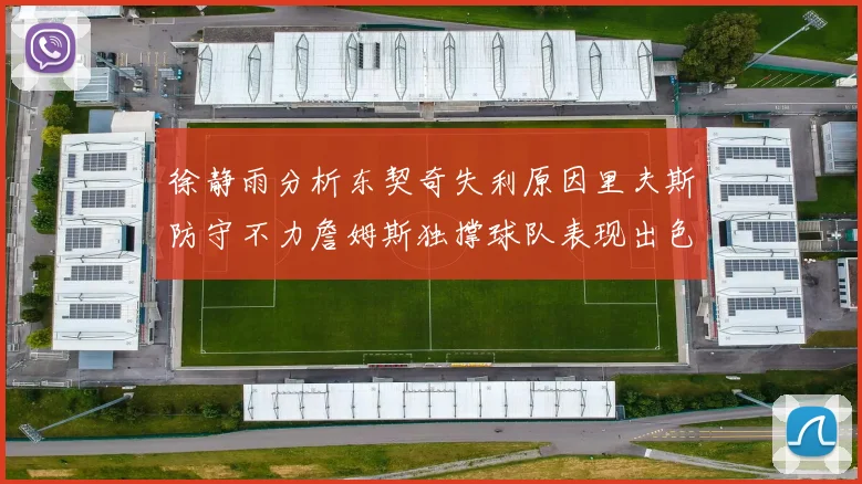 徐静雨分析东契奇失利原因里夫斯防守不力詹姆斯独撑球队表现出色